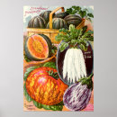 Recherche de radis posters Fruit