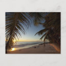 Search for absence postcards Outdoors