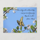 Recherche de papillon à queue jaune cartes postales Faune
