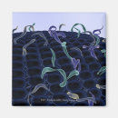 Search for cells magnets Magnification