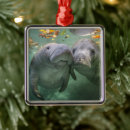Search for manatee ornaments Ocean