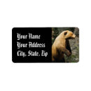 Search for conservation return address labels Bear