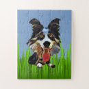 Search for border collie cartoon Funny