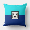 Search for cyan pillows Stylish