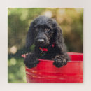 Search for doodle puzzles Puppy