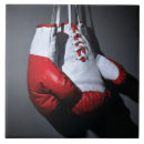 Search for fighting tiles Boxer