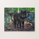 Recherche de loups puzzles Loup noir