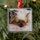 Recherche de toys ornaments Cute