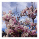 Recherche de arbre de tulipe Pour elle