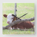 Search for hereford cattle art Farm