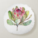 Search for protea pillows Flower