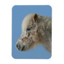 Recherche de miniature magnets Headshot