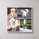 Recherche de images de chien posters Dogs