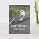 Search for goldendoodle birthday cards Animal