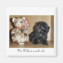 Search for wee wee magnets Cat