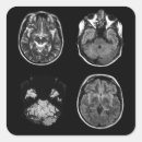 Search for brain stickers Anatomy