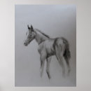 Recherche de black horse posters Drawing