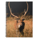 Search for habitat notebooks Wildlife