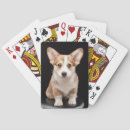 Search for corgi playing cards Queen elizabeth's