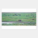 Search for american bison stickers Yellowstone