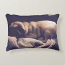 Recherche de caresse coussins Mignon