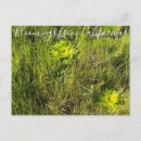 Search for spring bloom postcards California