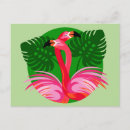 Recherche de flamant exotique cartes postales Tropiques
