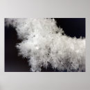 Recherche de macro posters Photographie