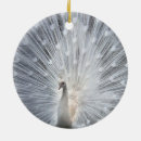 Search for white peacock ornaments Peacocks