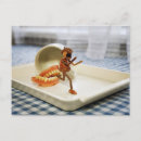 Search for false teeth Funny