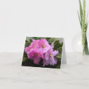 Search for african note cards Pink
