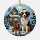 Search for santa hat ornaments Dog