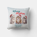 Search for kitty christmas pillows Santa