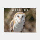 Recherche de hibou paillassons Rapace