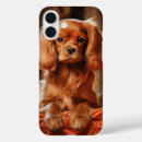 Search for cavalier king charles spaniel stuff iphone cases Ruby