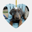 Search for doberman ornaments Dog