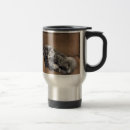 Search for maine coons mugs Animals