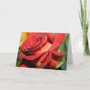 Search for you red rose invitations Romance