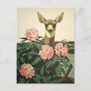 Recherche de nord ouest pacifique cartes postales Voyage