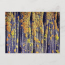 Search for textures postcards Design
