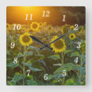 Recherche de beaucoup horloges Nature