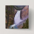 Search for yellowstone buttons Usa