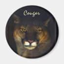 Search for cougar photography Cougars