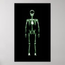 Recherche de vert de crâne art Horreur