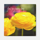 Search for sunnis magnets Sunny