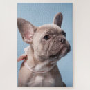 Search for bulldog puzzles Pets