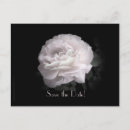 Search for 50th birthday save the dates Floral