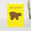 Search for bear jokes cards Humour