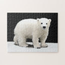Recherche de polaire puzzles Porter