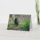 Search for cat sympathy cards Grief